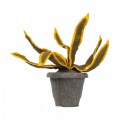 A5500210 03 kidsdepot-kuntstplant-sanseveria geel Tangara groothandel voor de kinderopvang